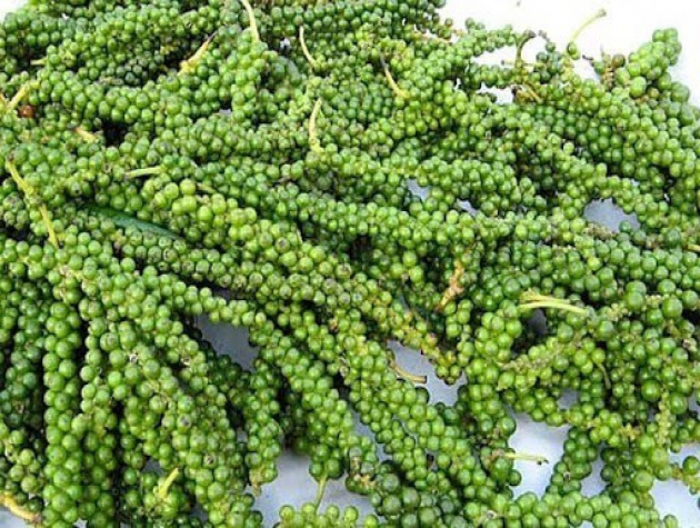 Giá tiêu hôm nay 15/11: Đi ngang, chờ tái lập đỉnh mốc 60.000 đồng/kg